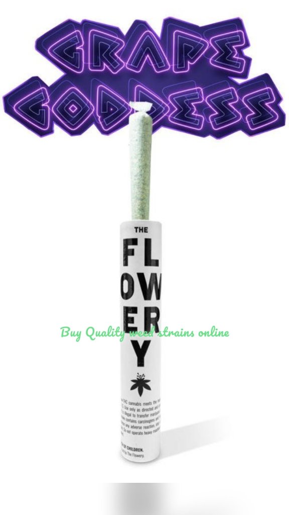 Buy Quality weed strains online